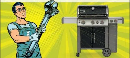 <b>Grillmontage Genesis 300er Serie</b>